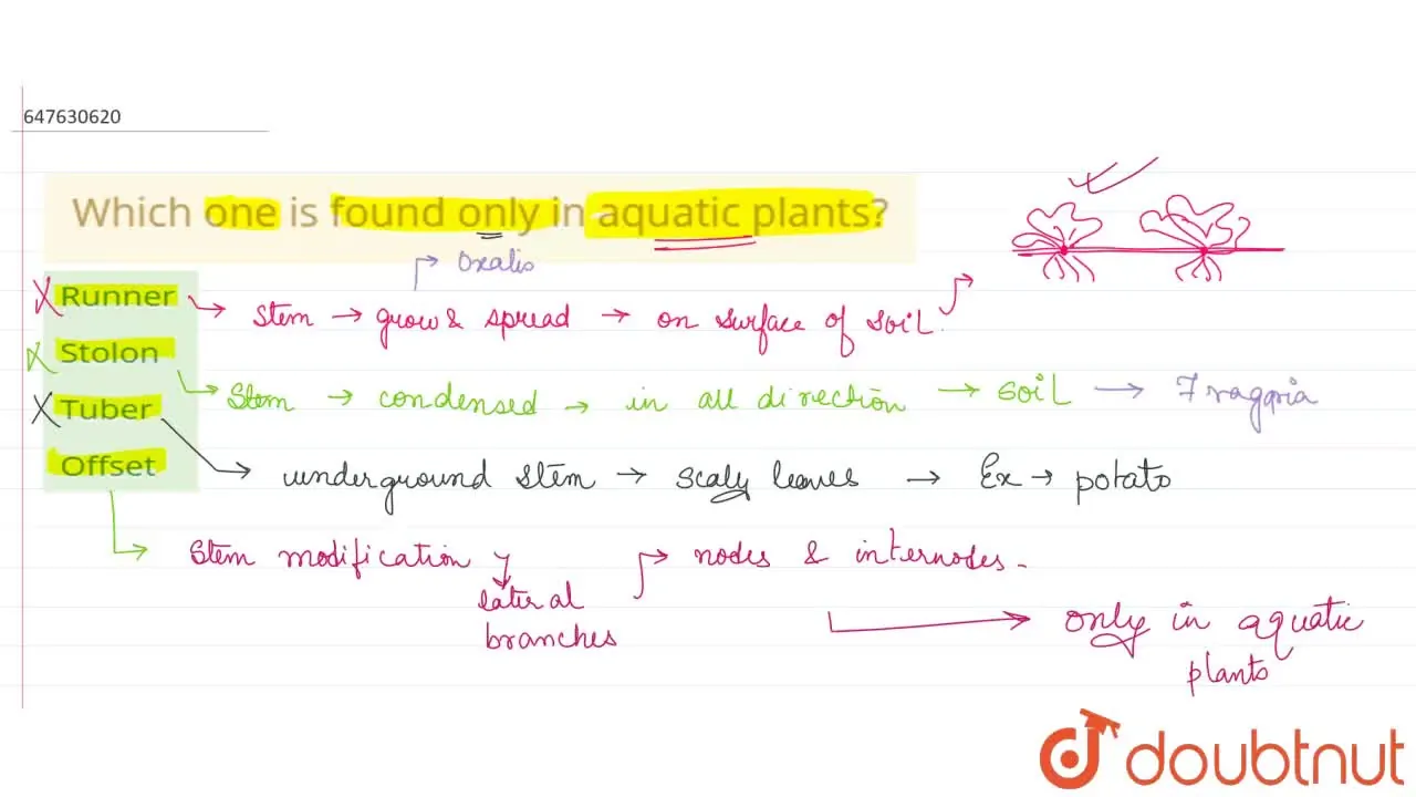 [Bengali Solution] Which one is found only in aquatic plants?