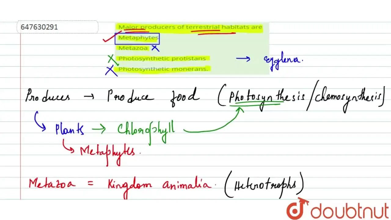 [Bengali Solution] Major producers of terrestrial habitats are