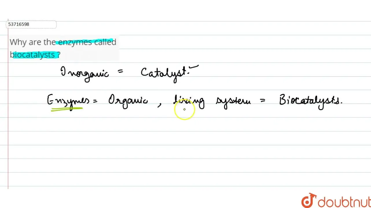 Why are the enzymes called biocatalysts