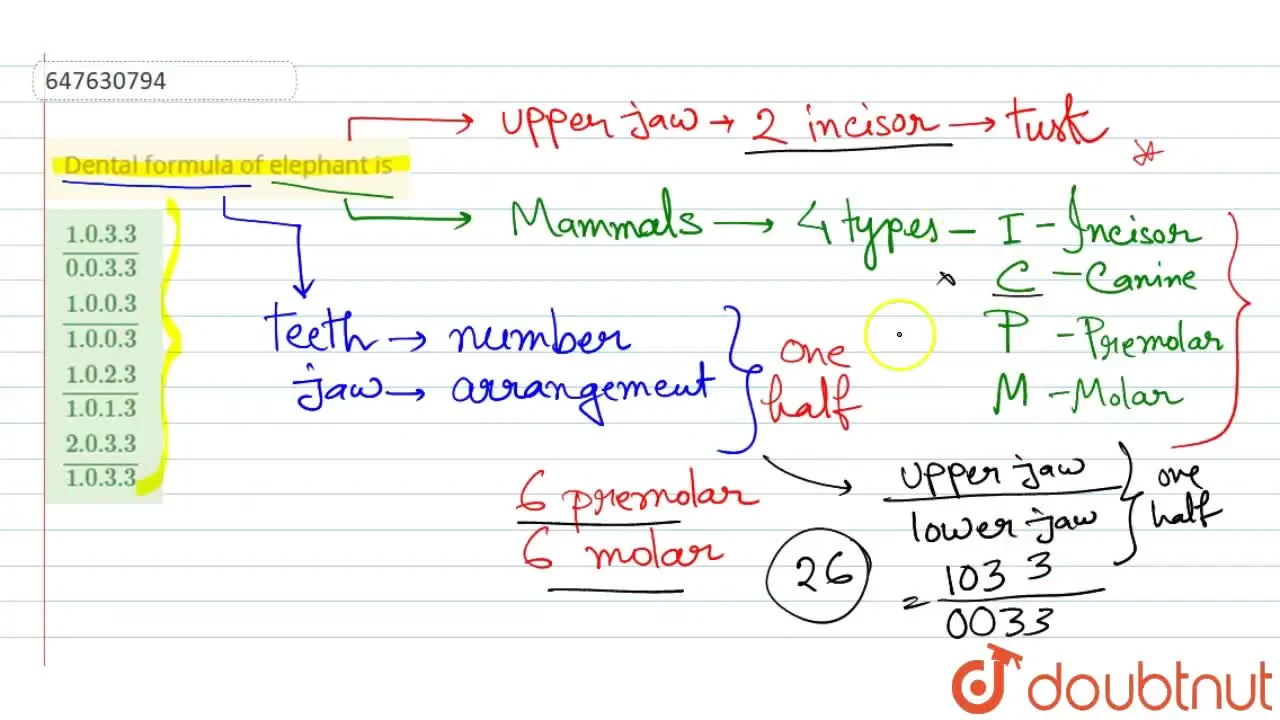 [Bengali Solution] Dental formula of elephant is