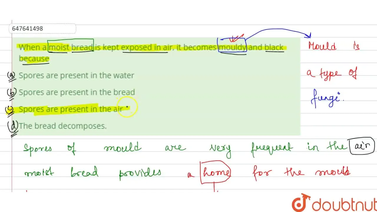 [Bengali Solution] When a moist bread is kept exposed in air, it