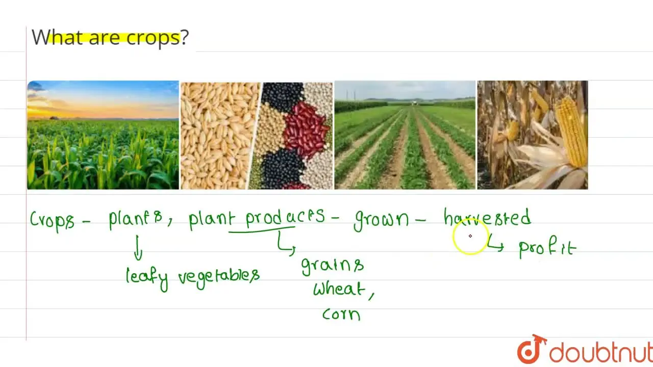 [Telugu Solution] What are crops?