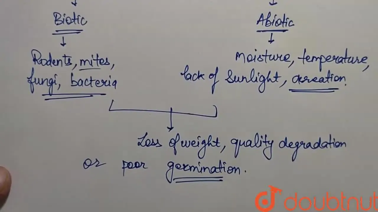 [Punjabi Solution] How do storage grain losses occur?