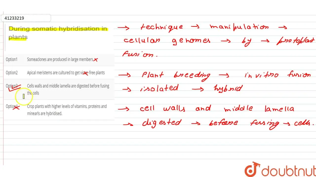 Cell walls and middle lamella are digested before fusing the cells