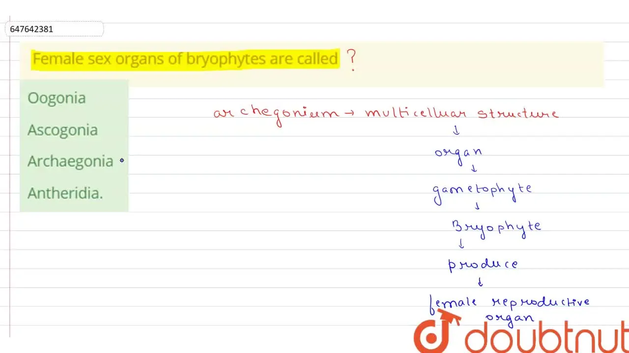 [Bengali Solution] Female sex organs of bryophytes are called