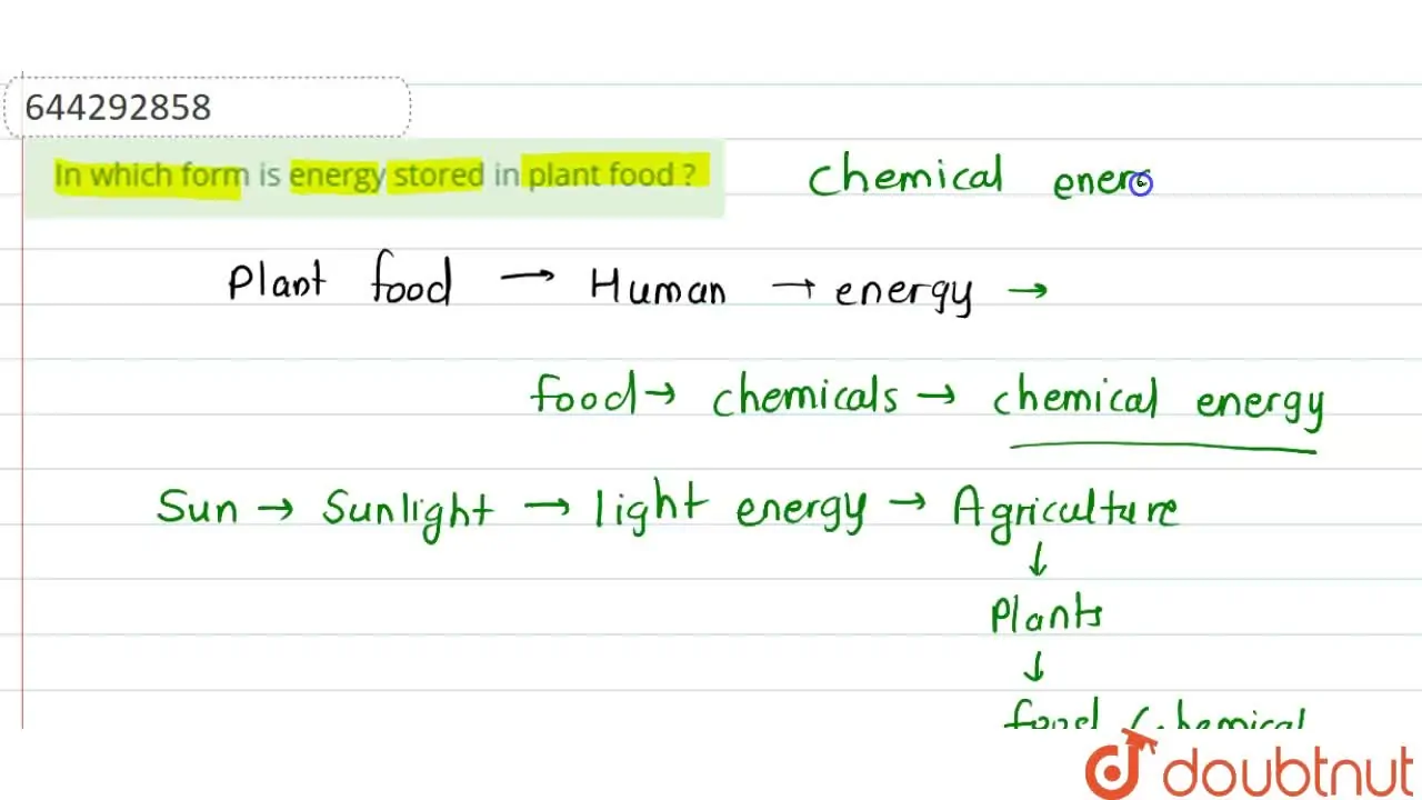[Marathi] In which form is energy stored in plant food