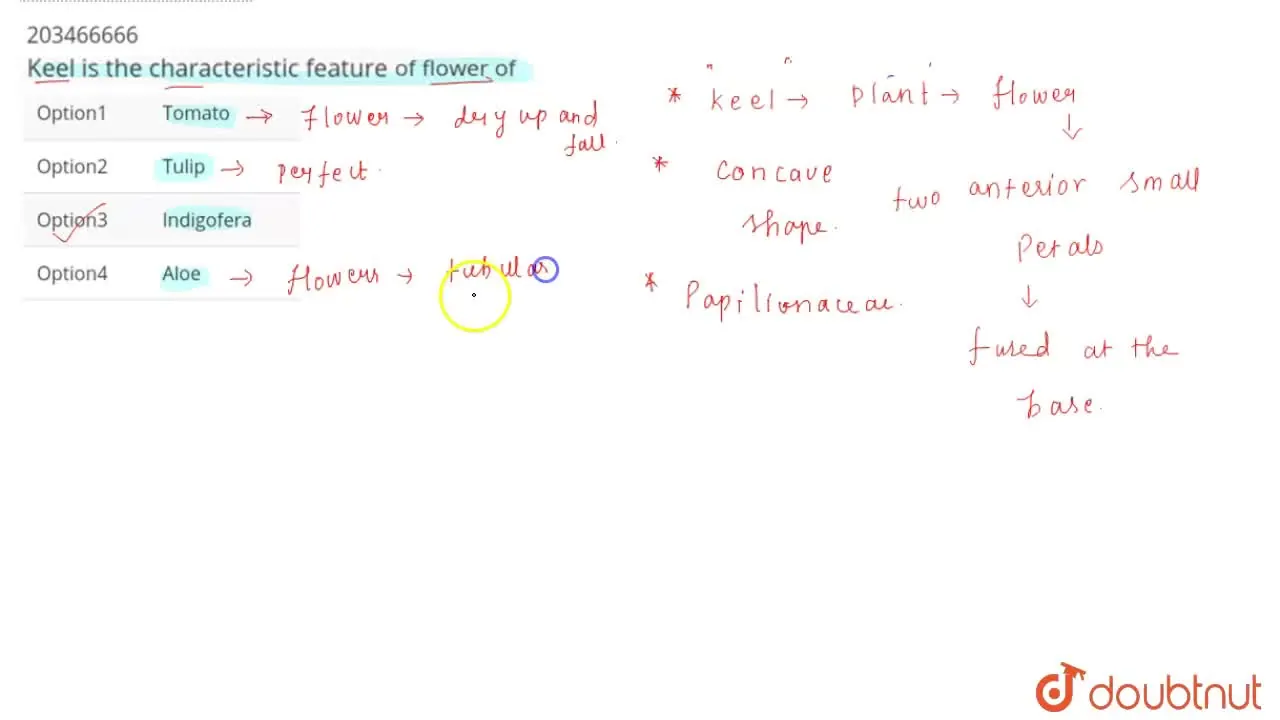 [Tamil Solution] Keel is the characteristic feature of flower of