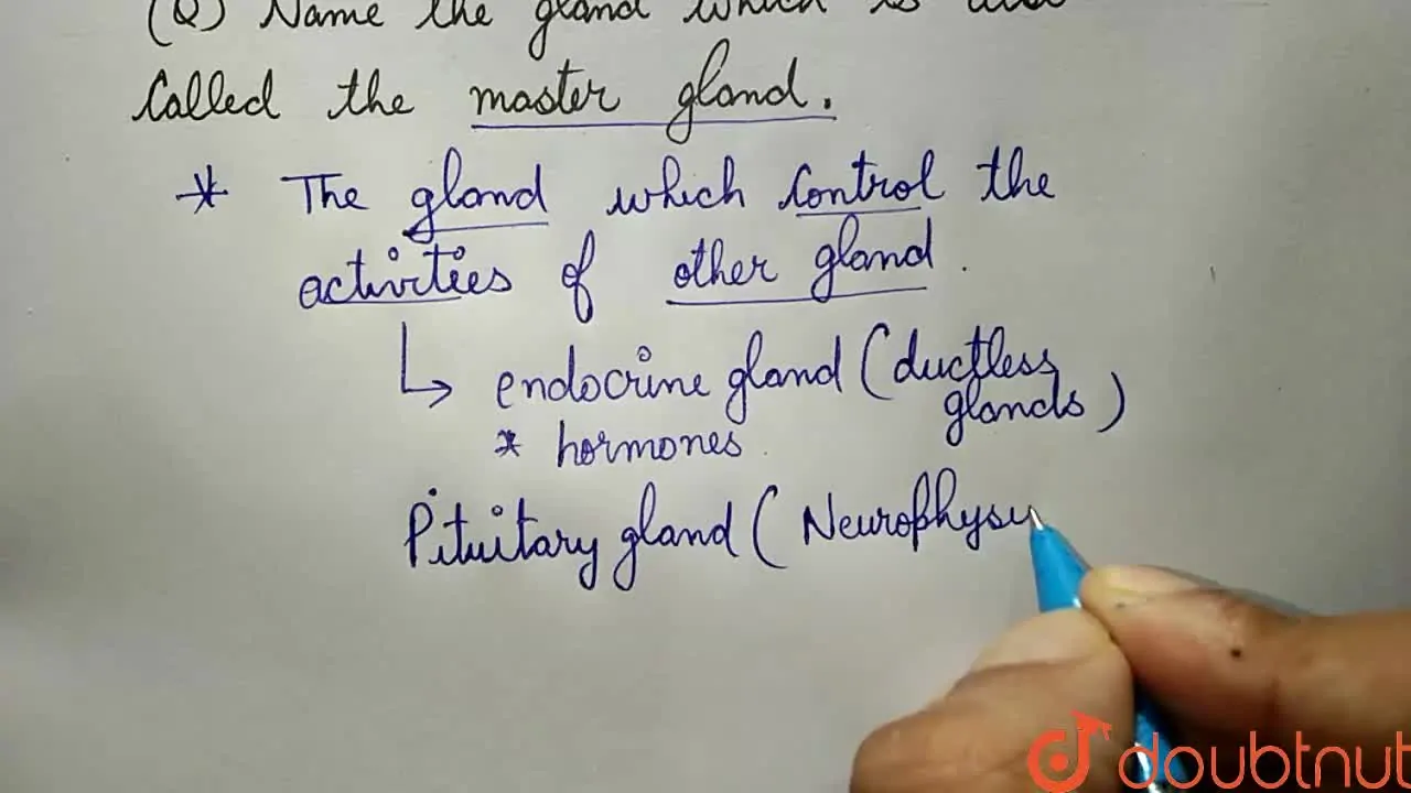 Name the gland which is also called the master gland.