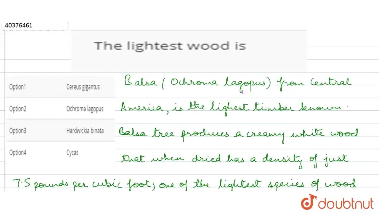 The lightest wood is