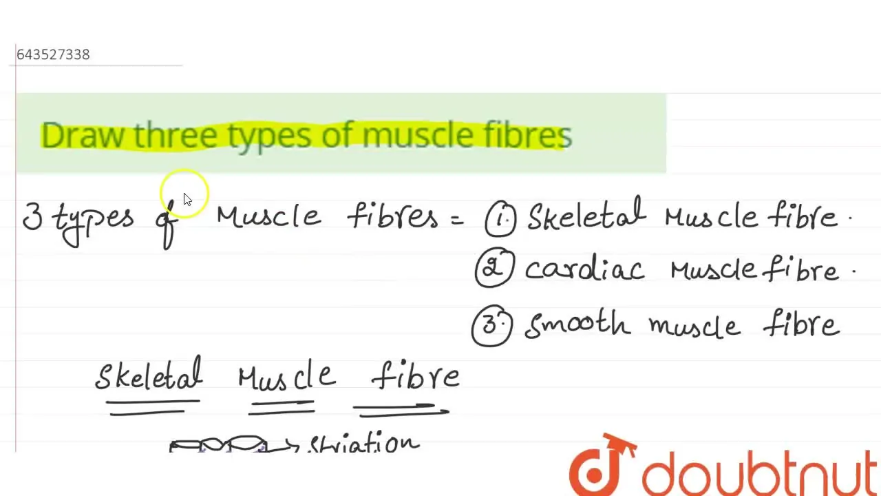 [Telugu Solution] Draw three types of muscle fibres