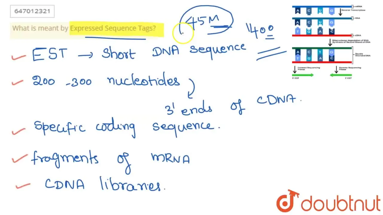 [Tamil Solution] What is meant by Expressed Sequence Tags?