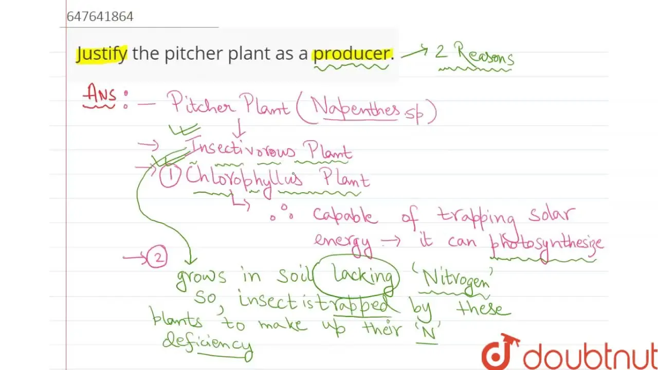 [Bengali Solution] Justify the pitcher plant as a producer.