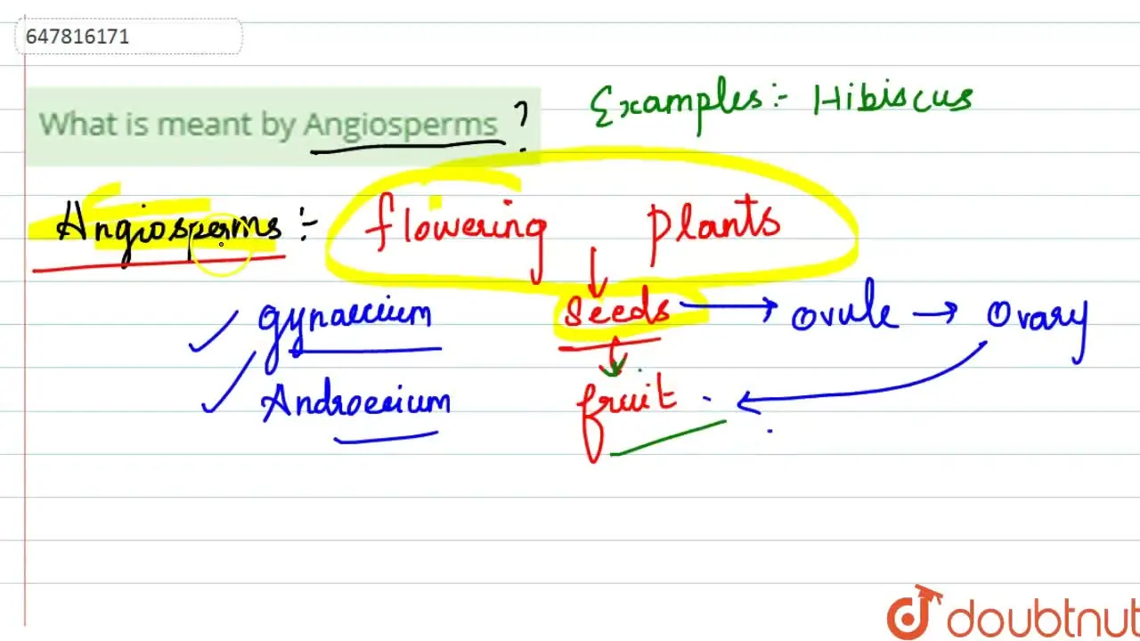 [Tamil Solution] What is meant by Angiosperms