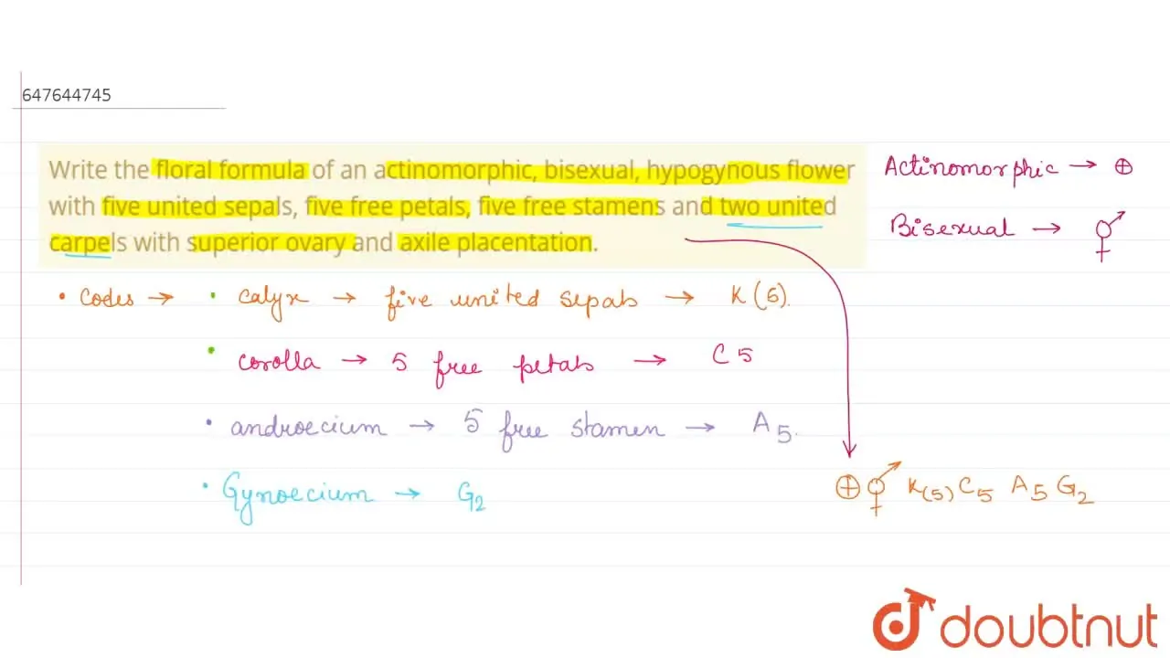 [Bengali Solution] Write the floral formula of an actinomorphic, bisex