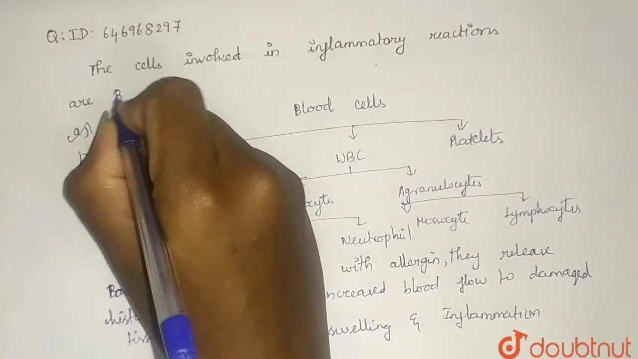[Tamil Solution] The cells involved in inflammatory reactions are