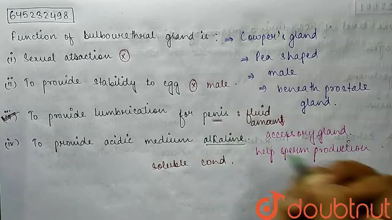 Function of bulbourethral gland is