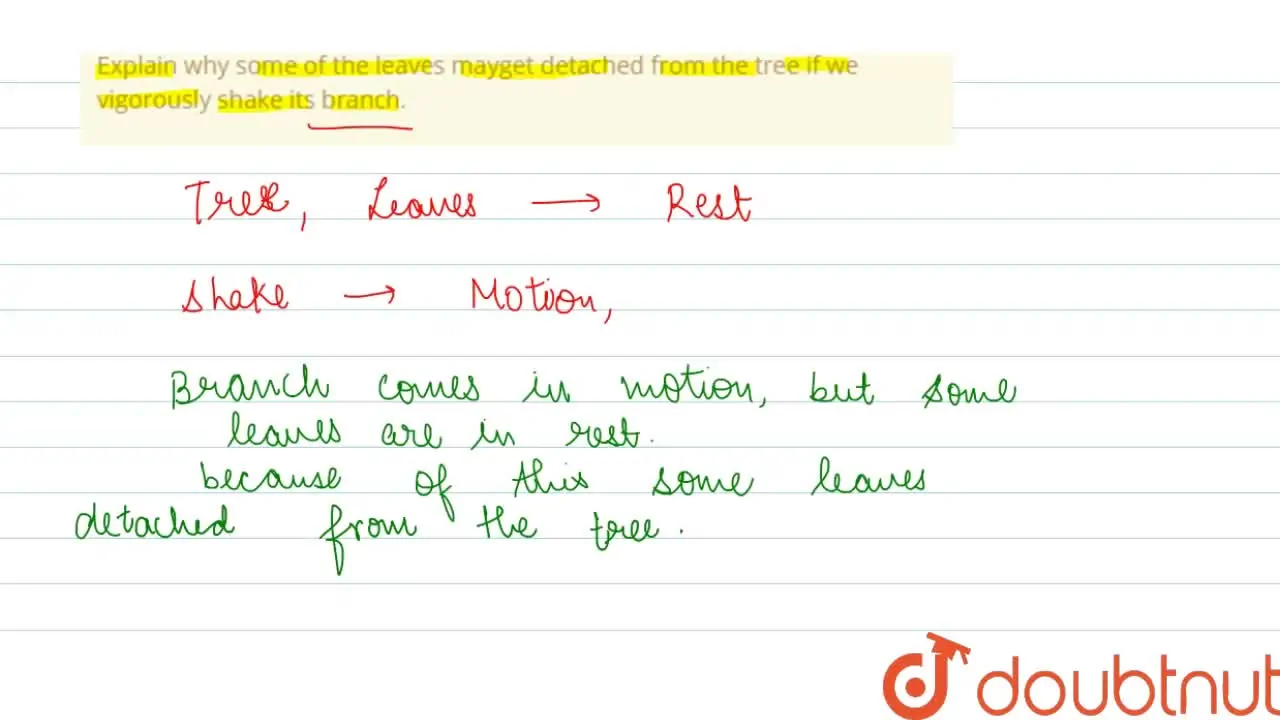 [Punjabi] Explain why some of the leaves mayget detached from the tree
