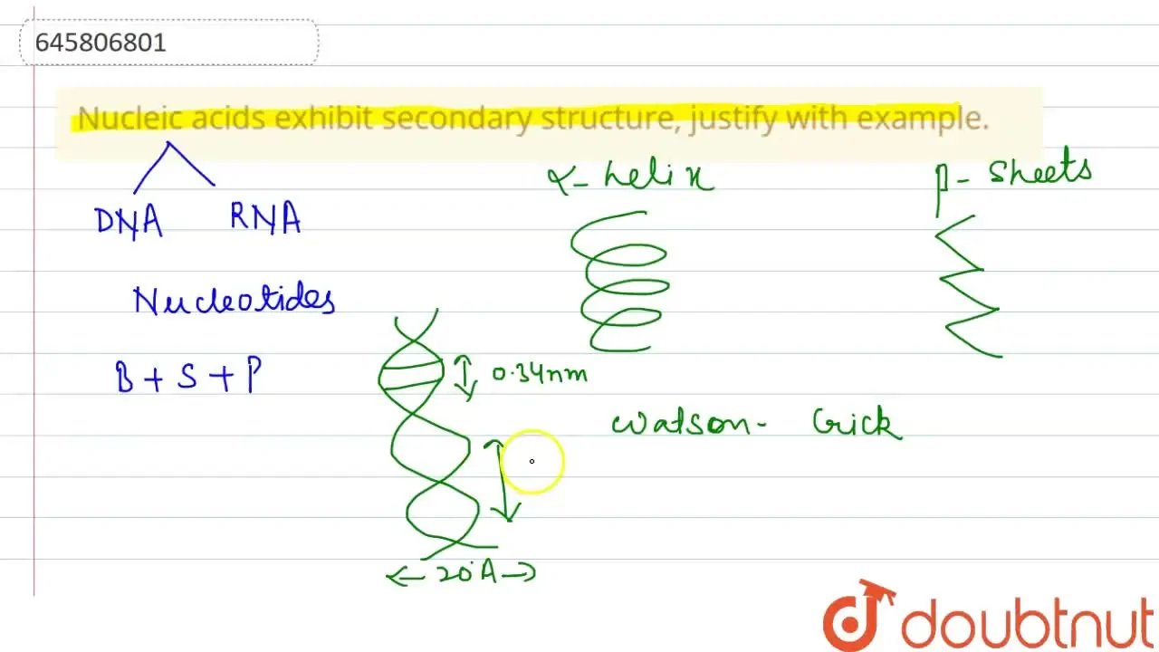 [Punjabi Solution] Nucleic acids exhibit secondary structure, justify