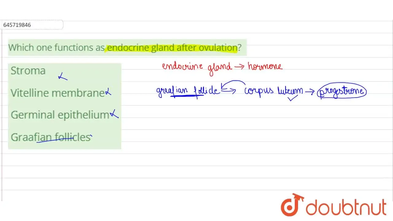 [Malayalam Solution] Which one functions as endocrine gland after ovul