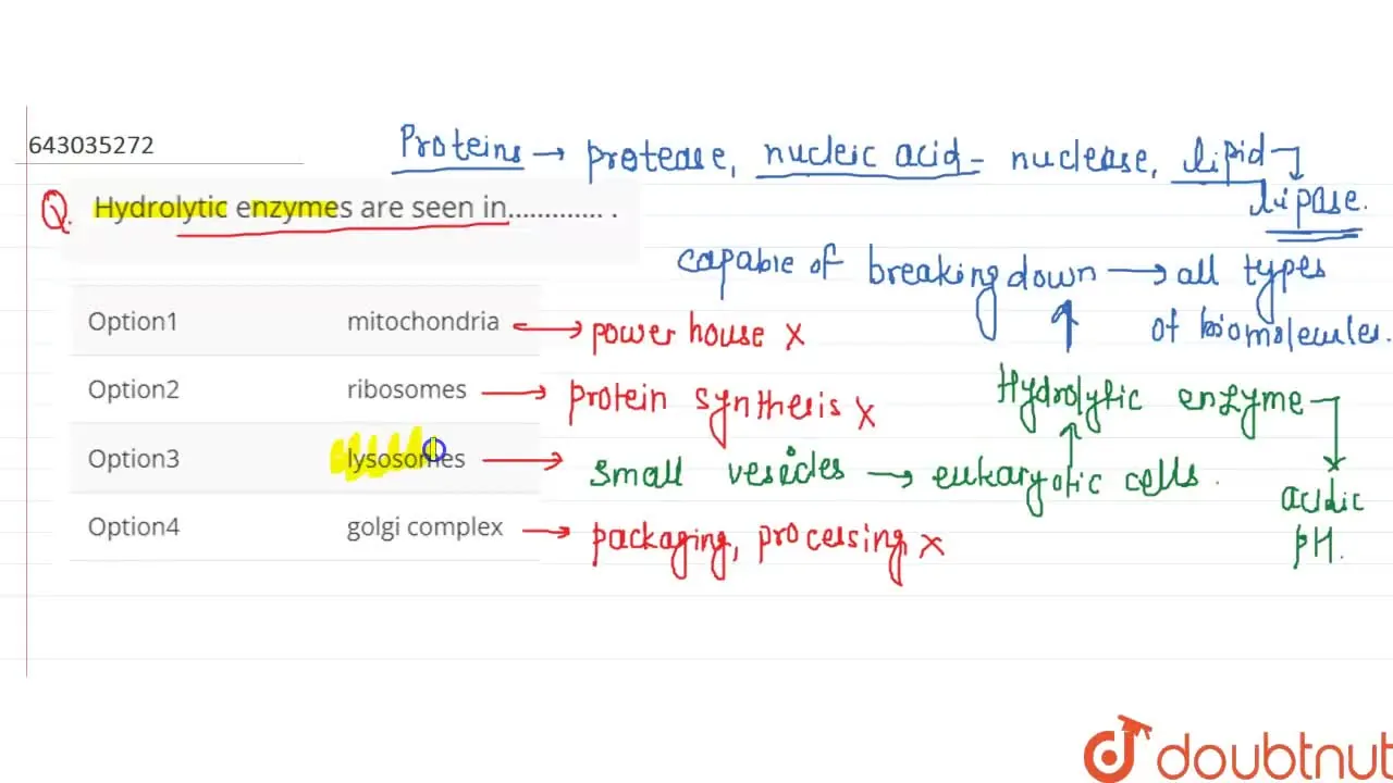 [Marathi Solution] Hydrolytic enzymes are seen in………….