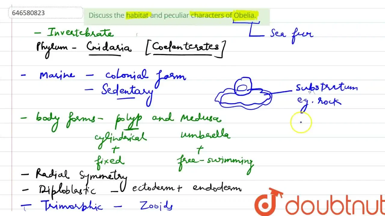 [Punjabi Solution] Discuss the habitat and peculiar characters of Obel