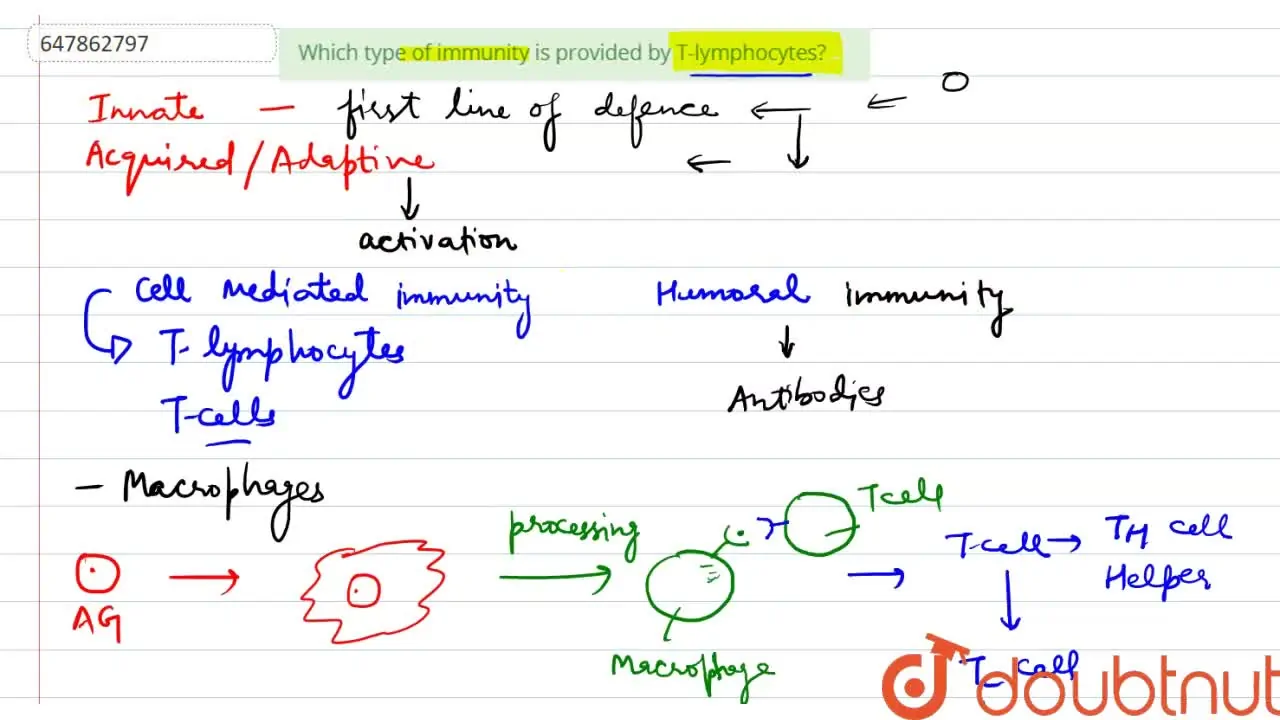 [Punjabi Solution] Which type of immunity is provided by T-lymphocytes