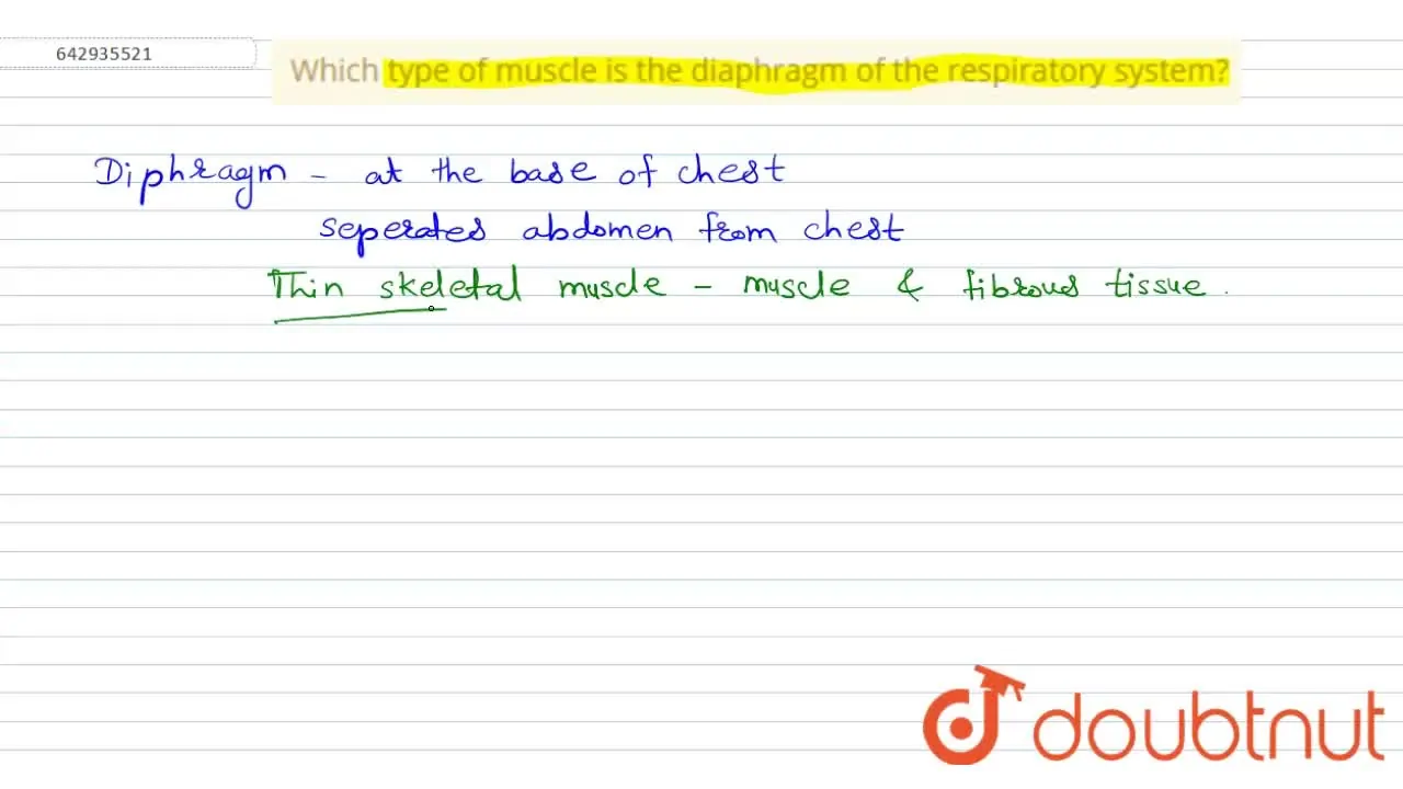 [Marathi Solution] Which type of muscle is the diaphragm of the respir