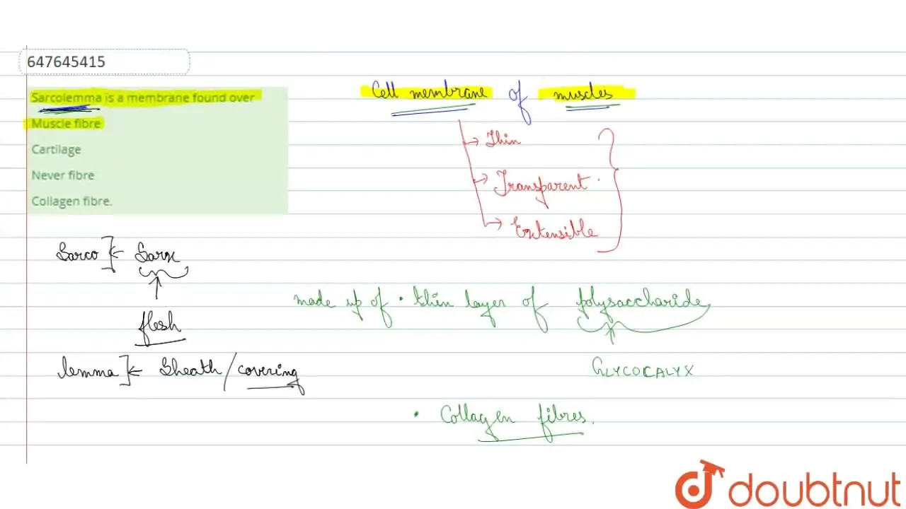 [Bengali Solution] Sarcolemma is a membrane found over