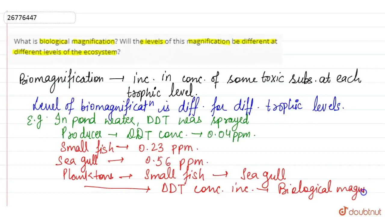 What is biological magnification? Will the levels of this magnificatio