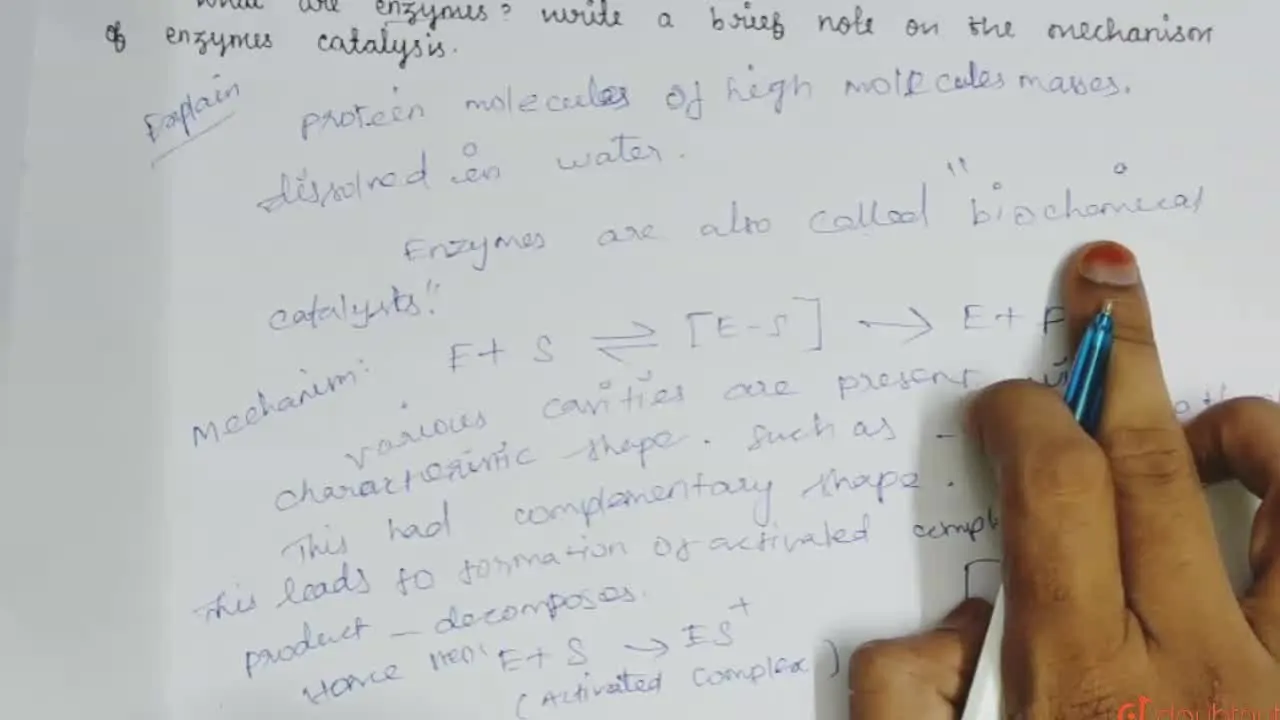 [Tamil] What are enzymes? Write a brief note on the mechanism of enzym