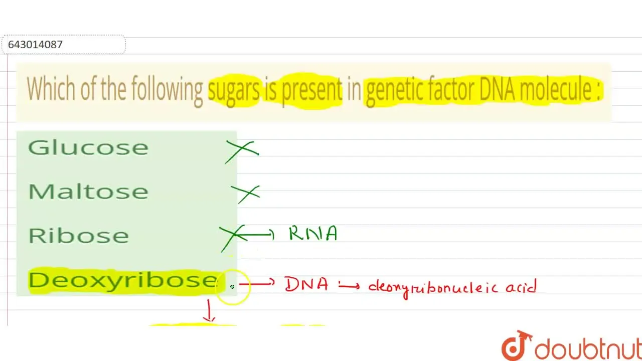 [Odia] Which of the following sugars is present in factor DNA