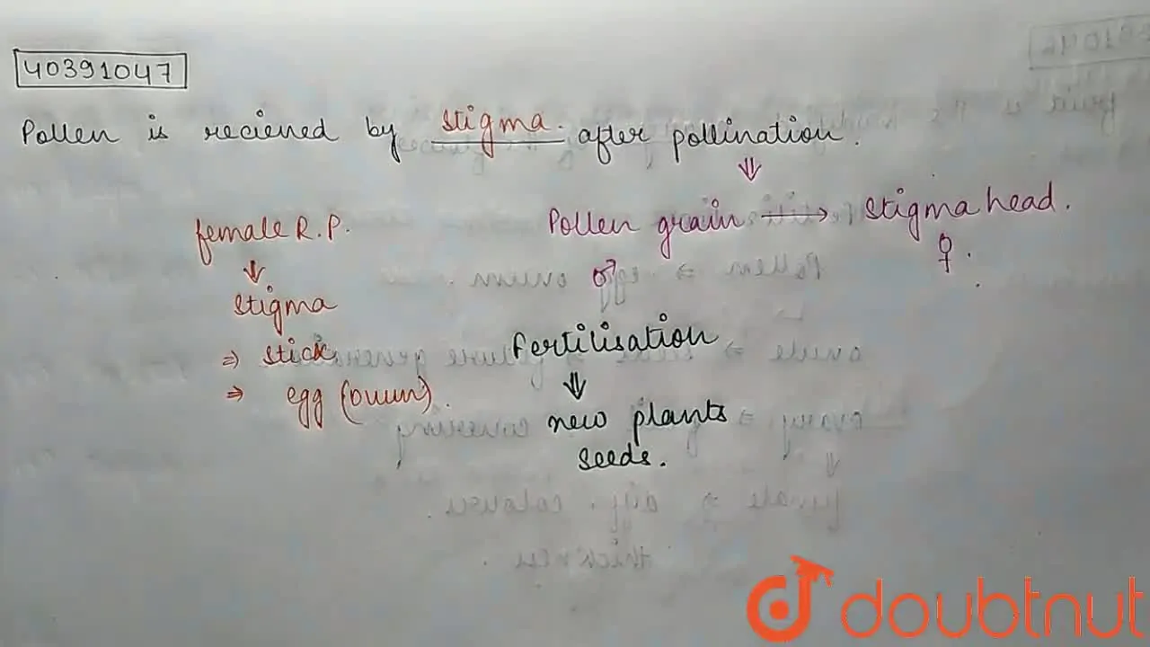 Pollen is received by after pollination.