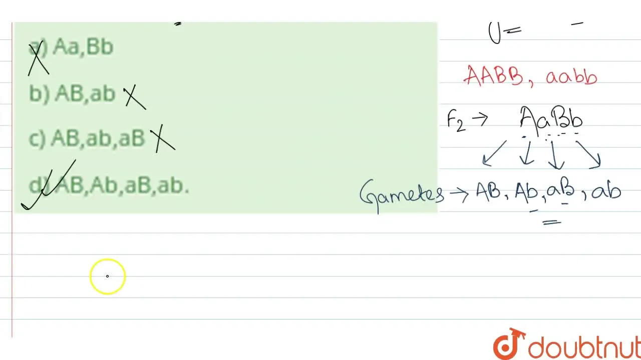 [Bengali Solution] Gametes of AaBb individuals can be