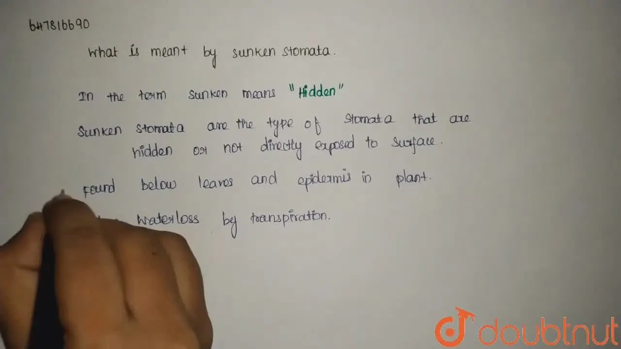 [Tamil Solution] What is meant by Sunken Stomata?