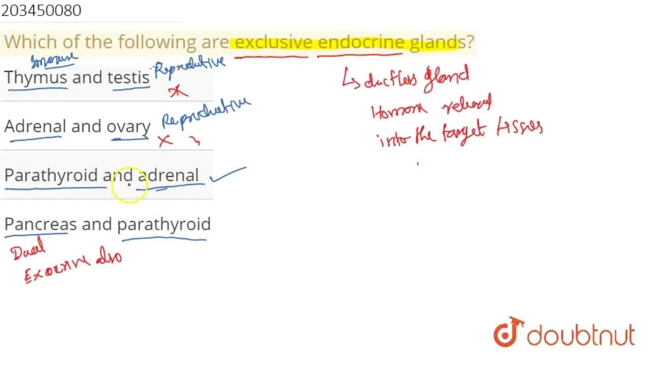 [Tamil Solution] Which of the following are exclusive endocrine glands