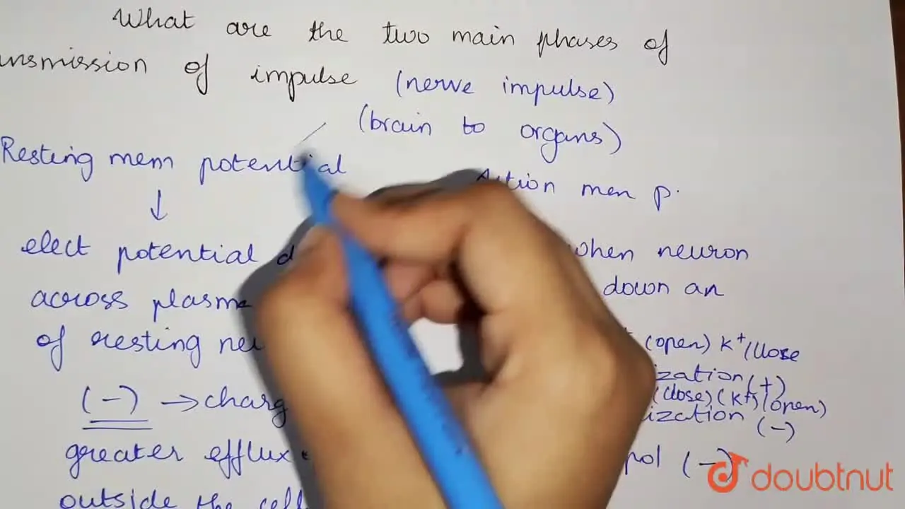 [Tamil Solution] What are the two main phases of transmission of impul