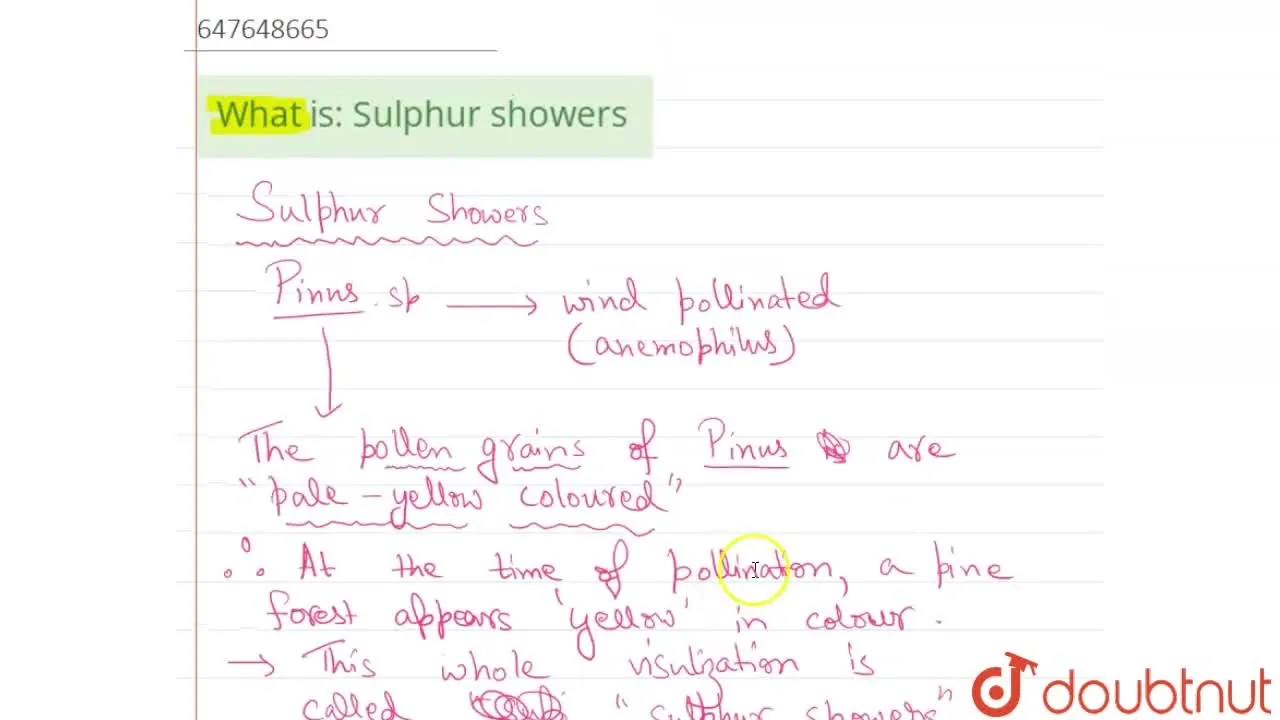 [Bengali Solution] What is Sulphur showers