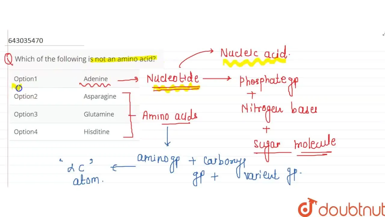 [Marathi Solution] Which of the following is not an amino acid?