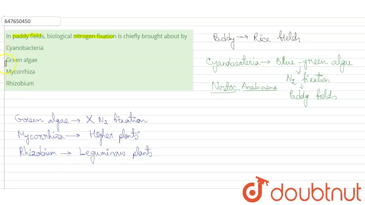 [Bengali Solution] In paddy fields, biological nitrogen fixation is ch