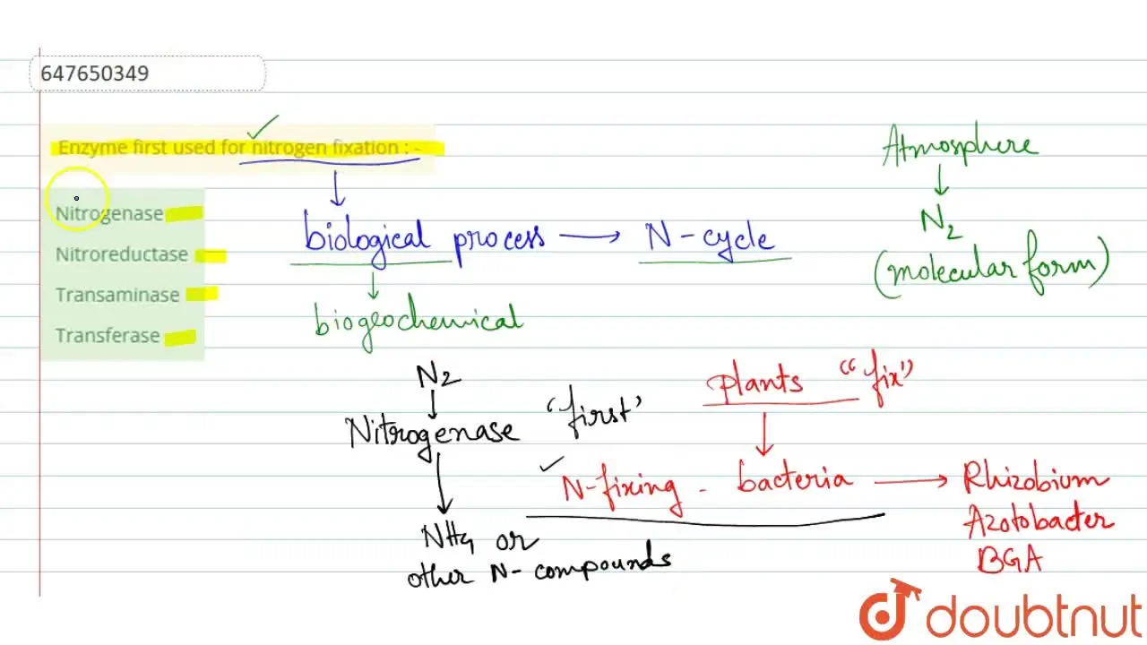 [Bengali Solution] Enzyme first used for nitrogen fixation