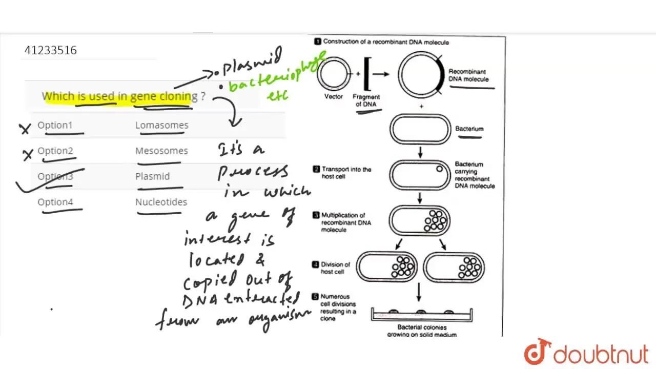Which is used in gene cloning