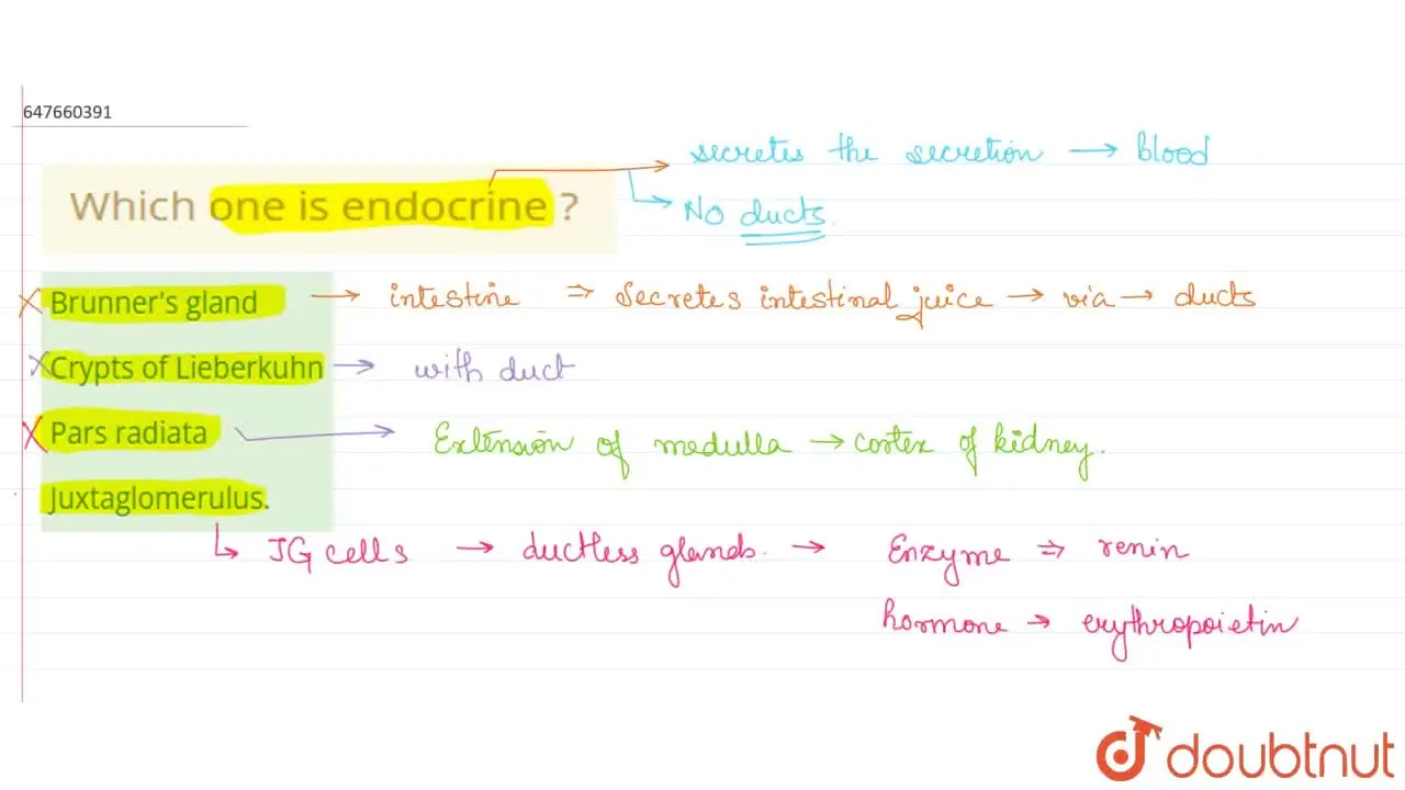 [Bengali Solution] Which one is endocrine