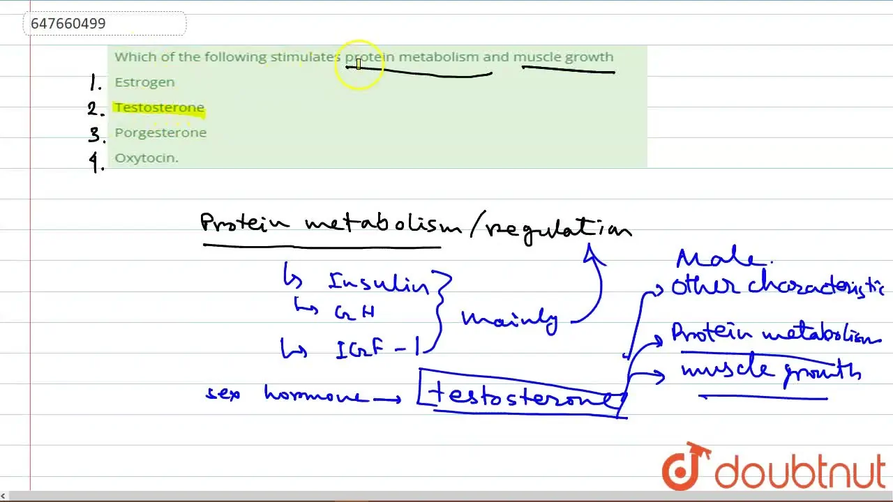 [Bengali Solution] Which of the following stimulates protein metabolis