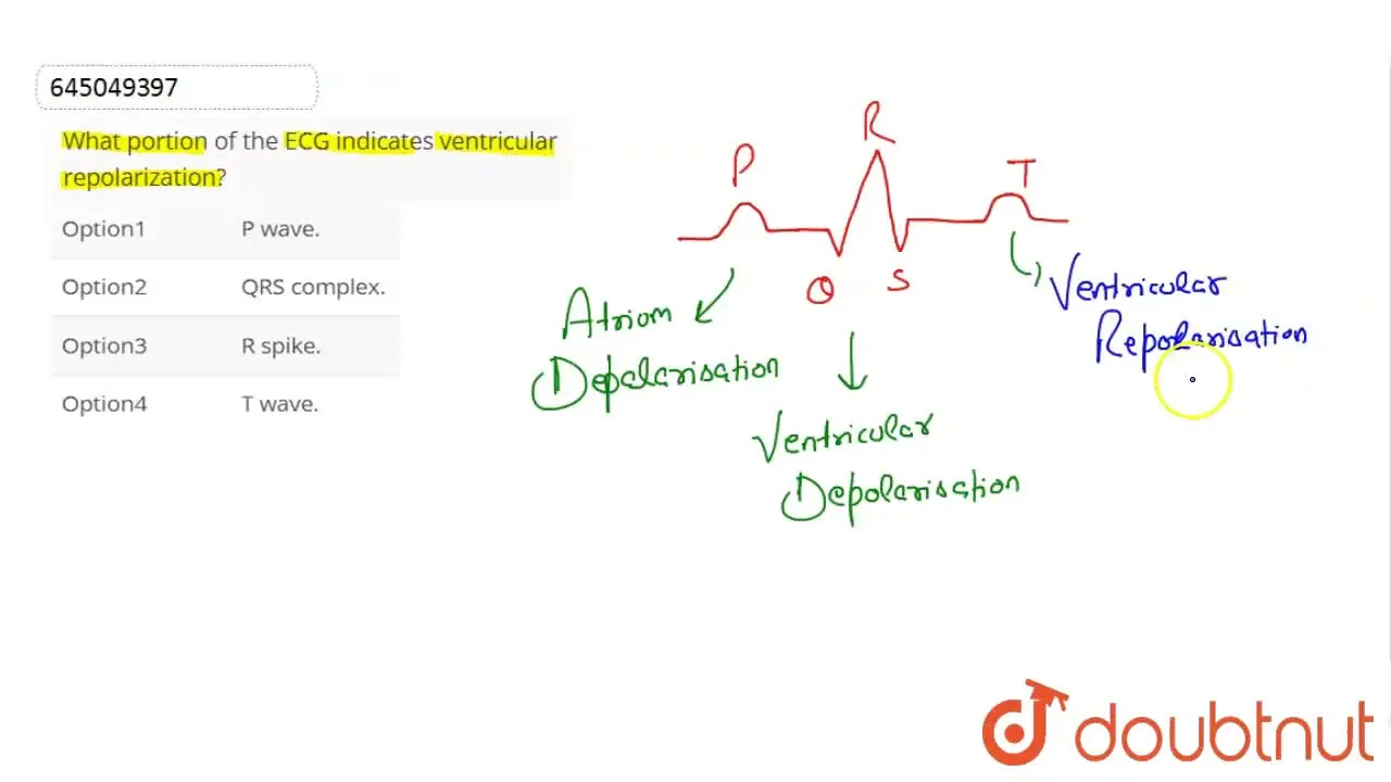 What portion of the ECG indicates ventricular repolarization?