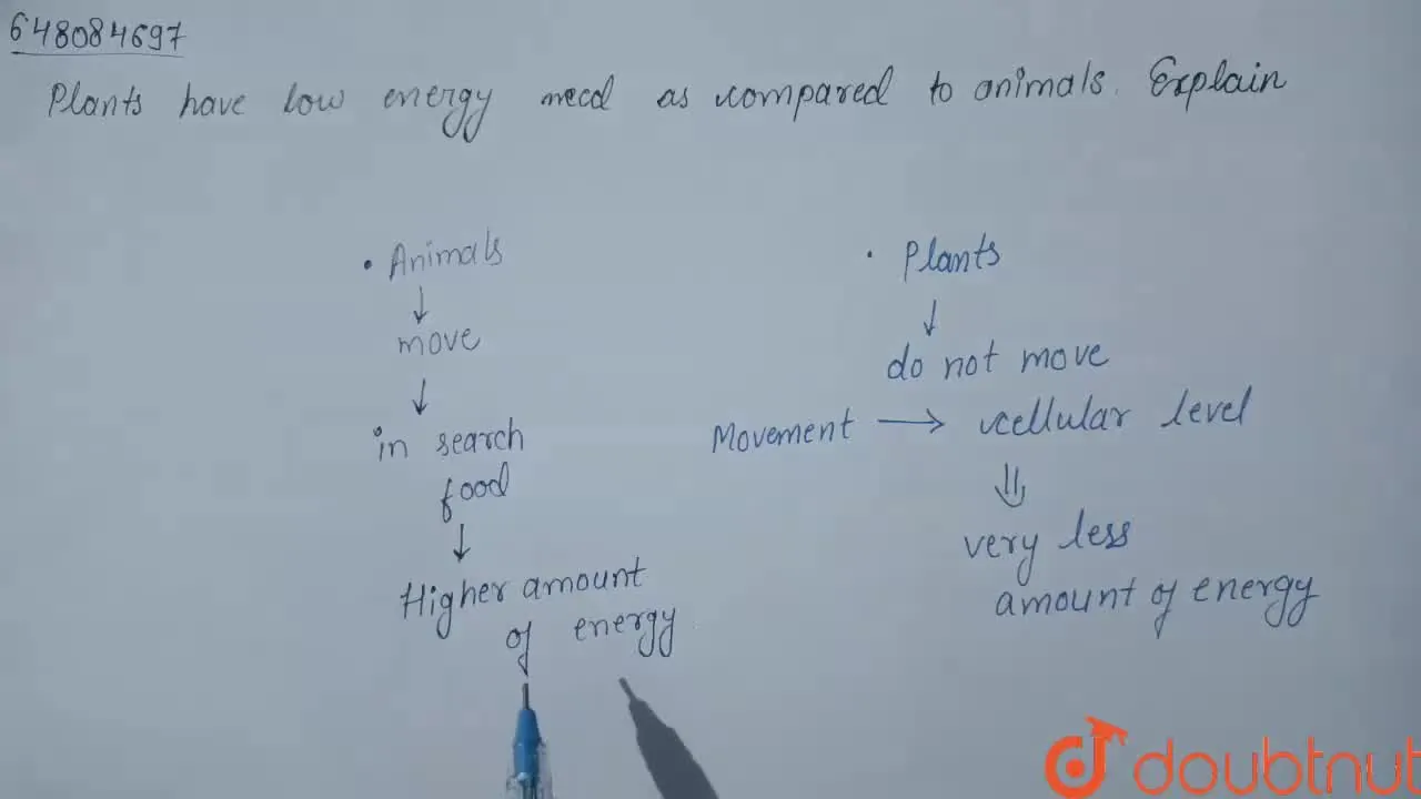 plants have low energy need as compared to animals. Explain.