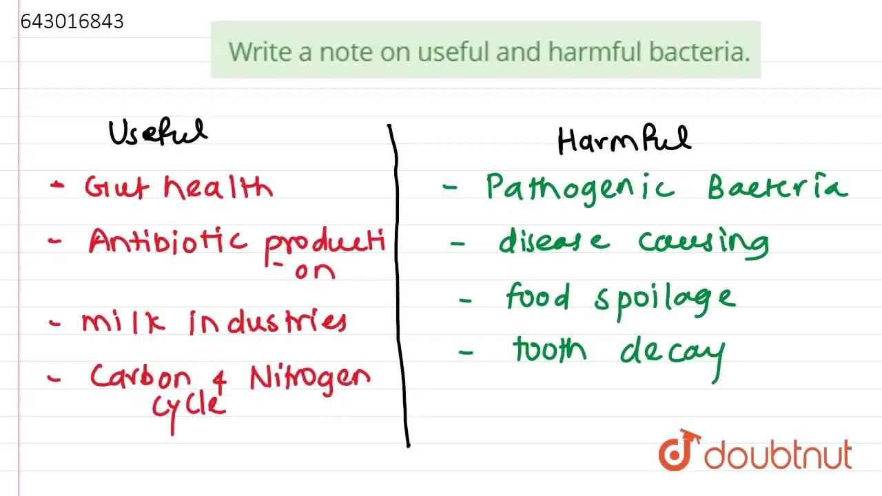 [Marathi Solution] Write a note on useful and harmful bacteria.
