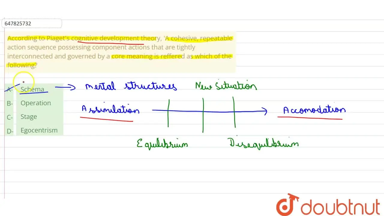 According to piaget's cognitive development outlet theory