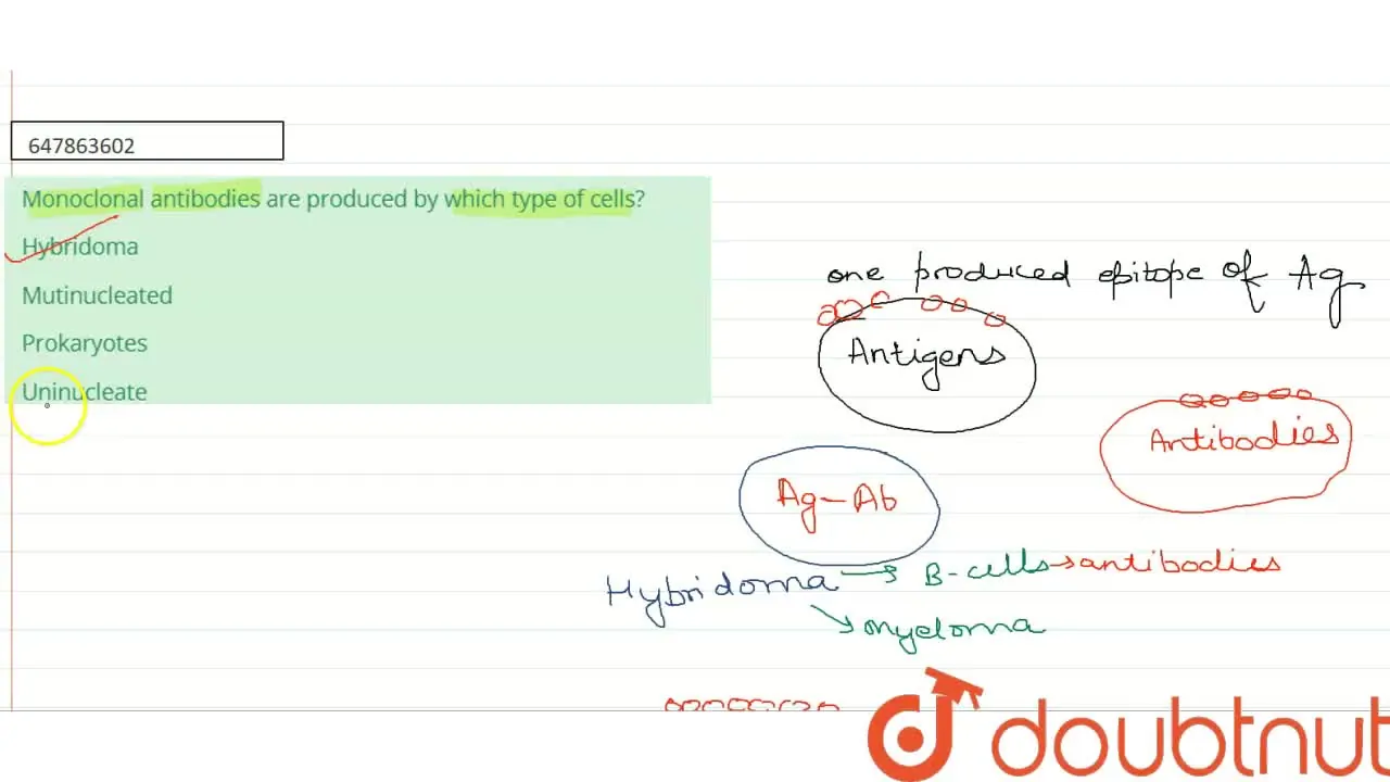 [Punjabi Solution] Monoclonal antibodies are produced by which type of