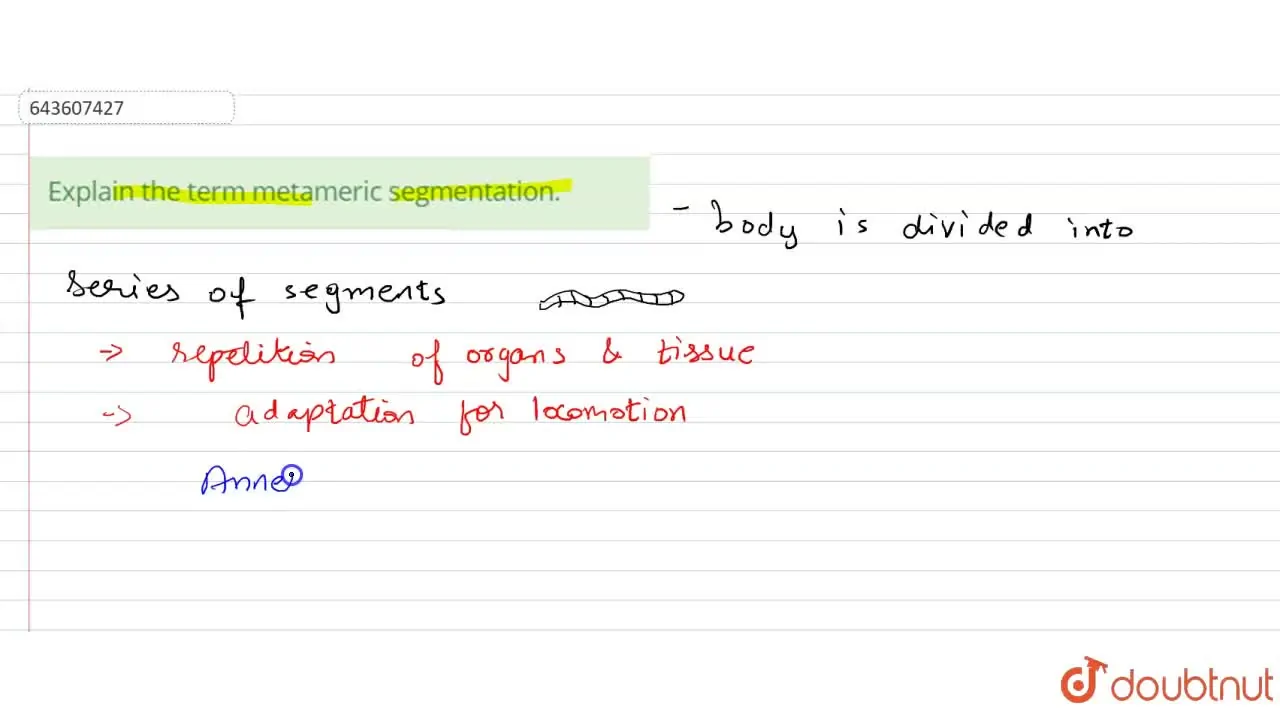 [Marathi Solution] Explain the term metameric segmentation.