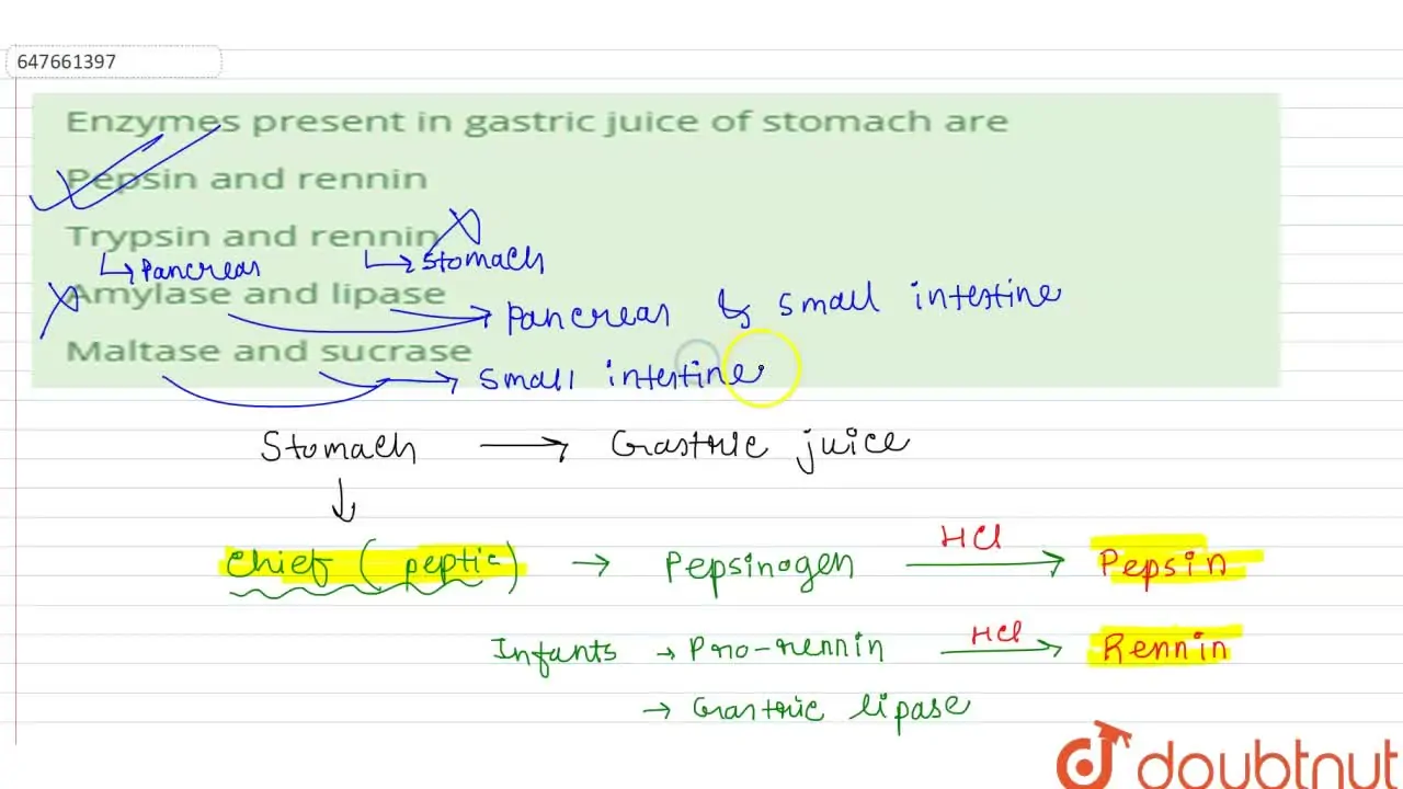 [Bengali Solution] Enzymes present in gastric juice of stomach are
